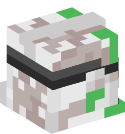 Minecraft head — People