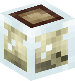 Minecraft head — Decor