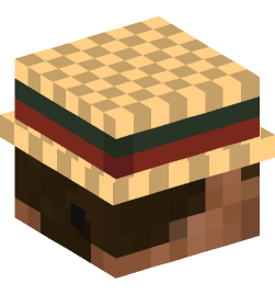 Minecraft head — People