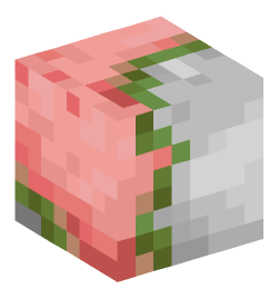 Minecraft head — Monsters