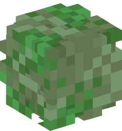 Minecraft head — Plants