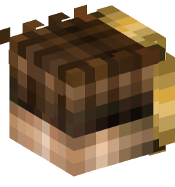 Голова Майнкрафт — Люди
