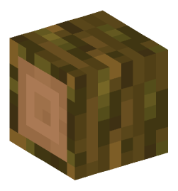 Minecraft head — Blocks