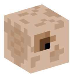 Minecraft head — Animals