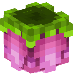 Minecraft head — Plants