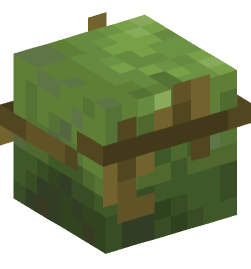 Minecraft head — Creatures