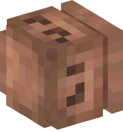 Minecraft head — Decor