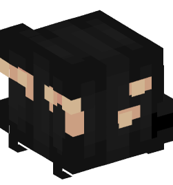 Minecraft head — People