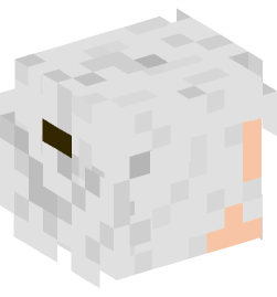 Minecraft head — People