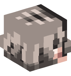 Minecraft head — People