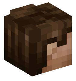 Minecraft head — People