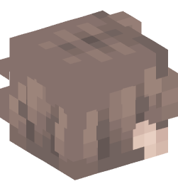 Minecraft head — People