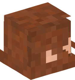 Minecraft head — People