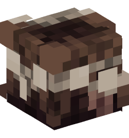 Minecraft head — People