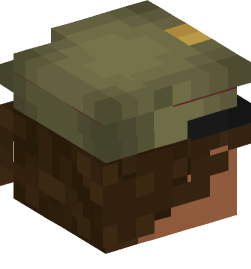 Minecraft head — People