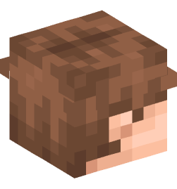 Minecraft head — People