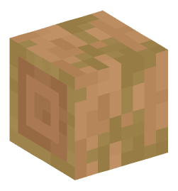 Minecraft head — Blocks