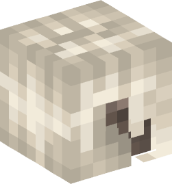 Minecraft head — People