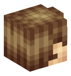 Minecraft head — Creatures