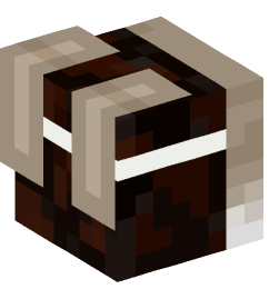 Minecraft head — Decor