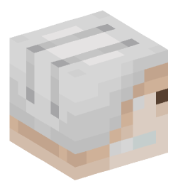 Minecraft head — Monsters