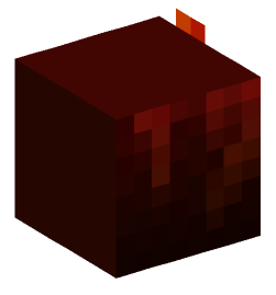 Minecraft head — Decor