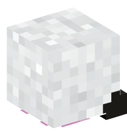 Minecraft head — Decor