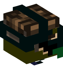 Minecraft head — People