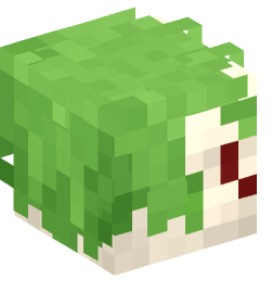 Minecraft head — People