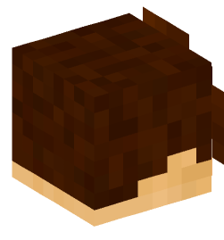 Minecraft head — People