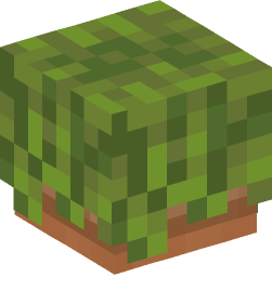 Minecraft head — Plants