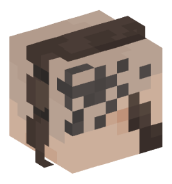 Minecraft head — People