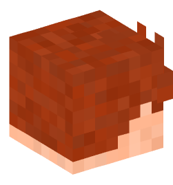 Minecraft head — People