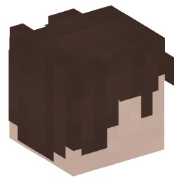 Minecraft head — People