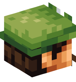 Minecraft head — People