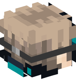 Minecraft head — People