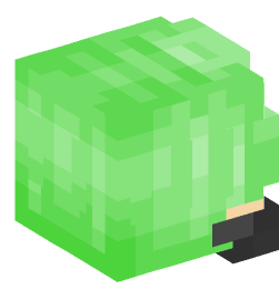 Minecraft head — People