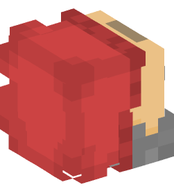 Minecraft head — People