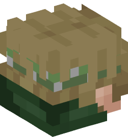 Minecraft head — People