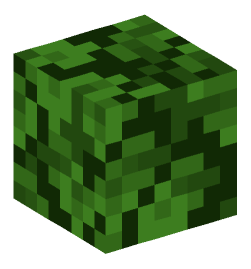 Minecraft head — Plants