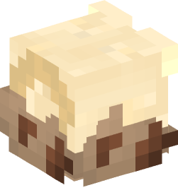 Minecraft head — Decor