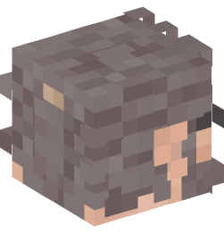 Minecraft head — People