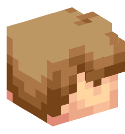 Minecraft head — People