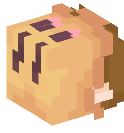 Minecraft head — People