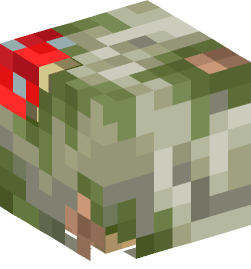 Minecraft head — Creatures