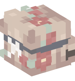 Minecraft head — People