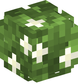 Minecraft head — Plants