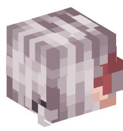 Minecraft head — People