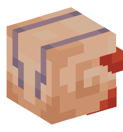 Minecraft head — People
