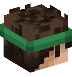 Minecraft head — People